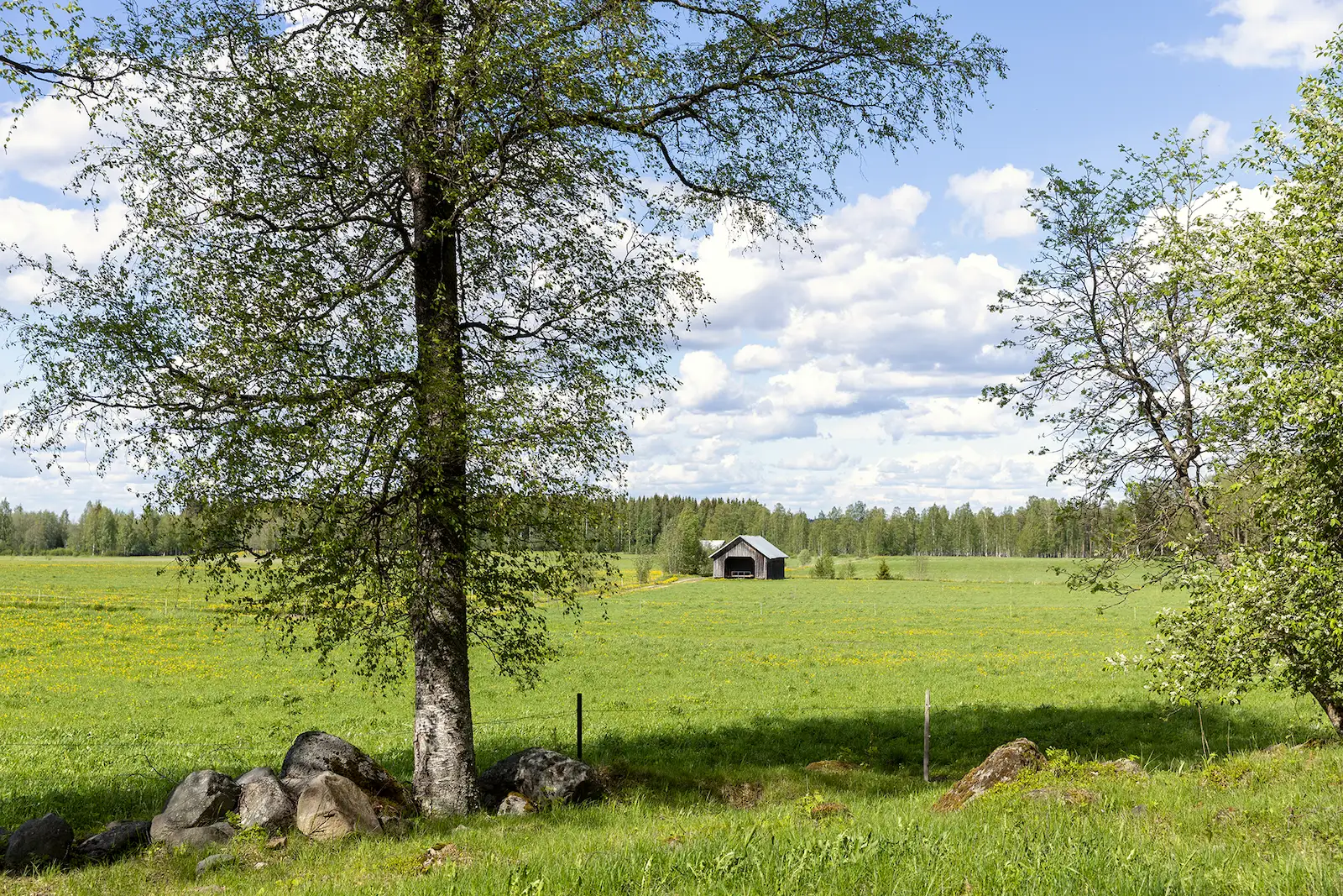 Ota yhteyttä Inno-onniin