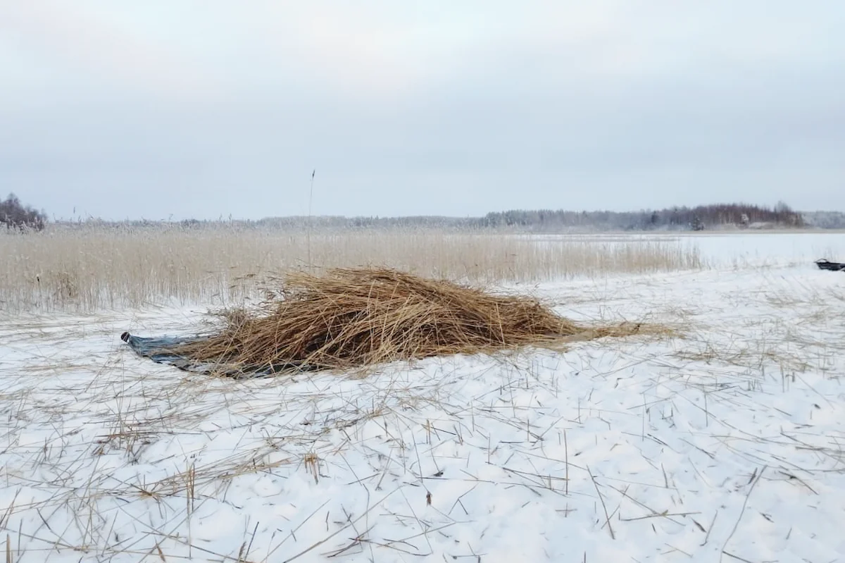 Järviruo'on niitto, Inno-onni niittopalvelu