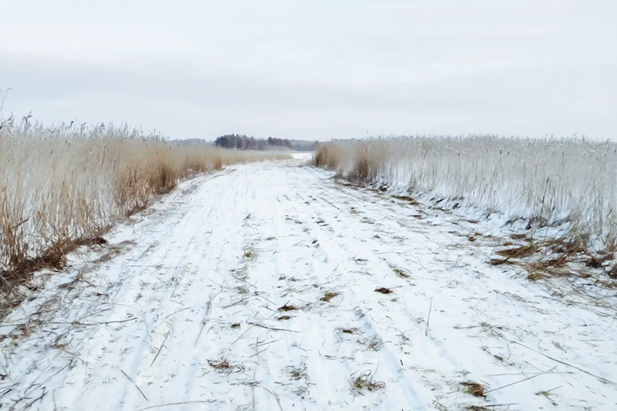 Niittokalusto järvellä